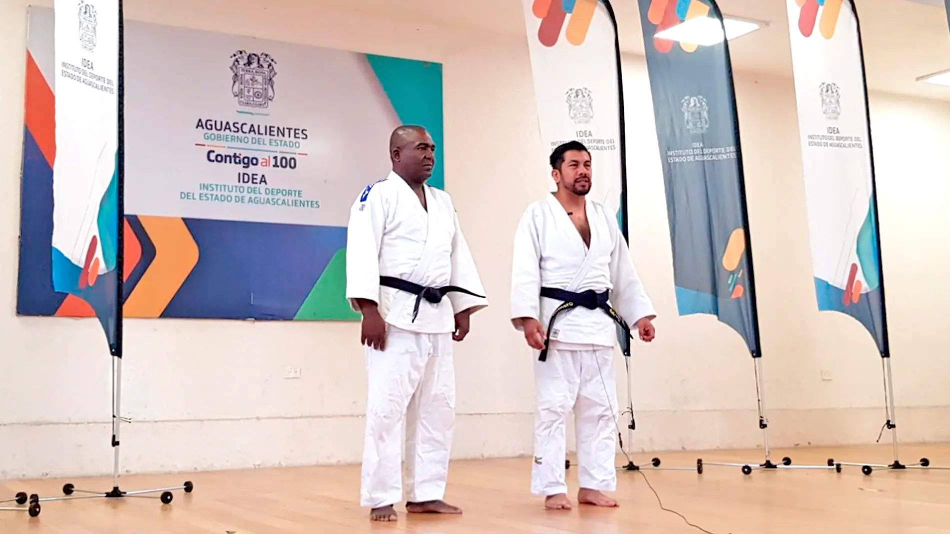 judo judocas IDEA